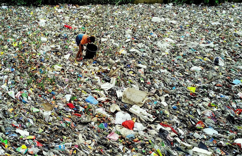 Photograph by MD DIDARUL ALAM CHY