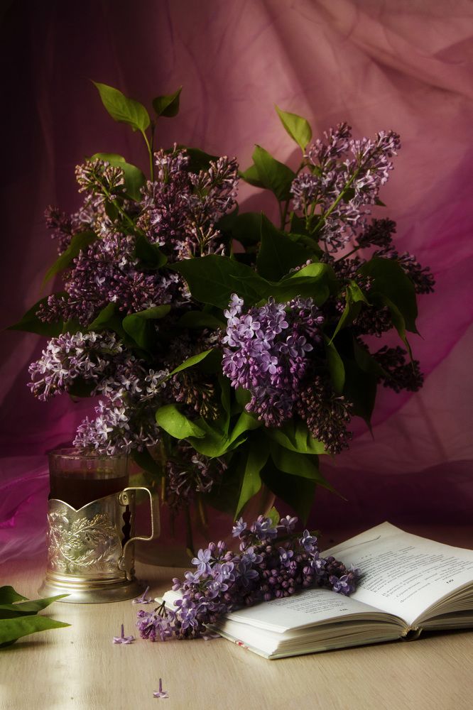 Photograph by Вязаницына Наталья Алексеевна