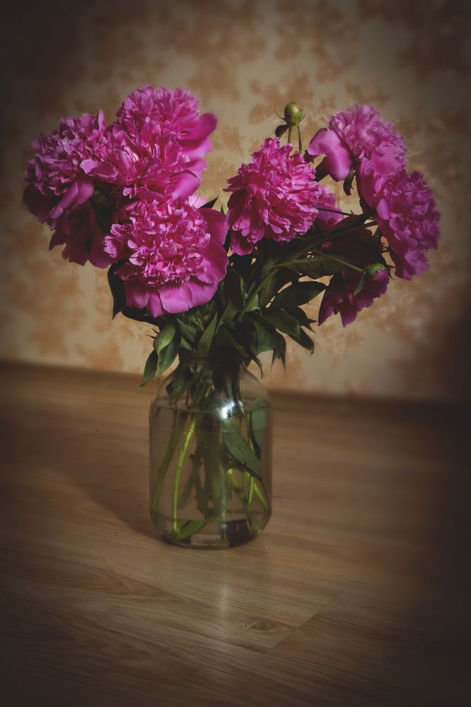 Photograph by Вязаницына Наталья Алексеевна