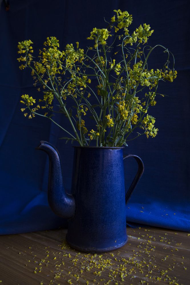 Photograph by Мария Пичугина