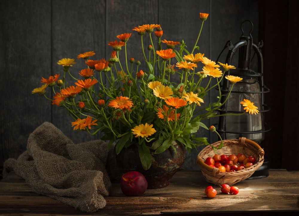 Photograph by Елена Хвойнова