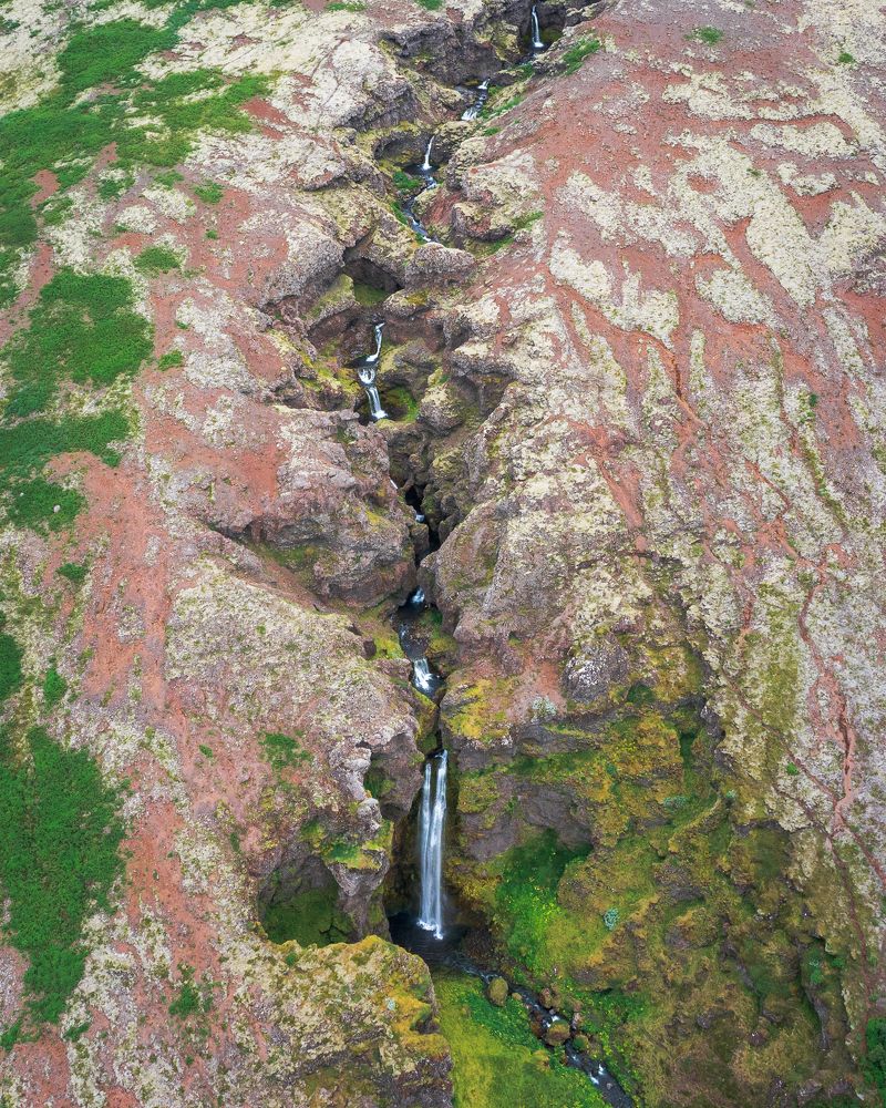 Photograph by Piotr Mickevic