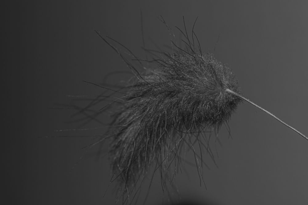 Photograph by LYBOMIR NAKOV