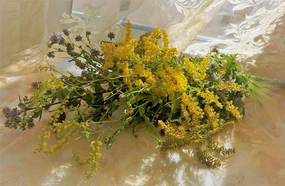 Photograph by Inna Oshe