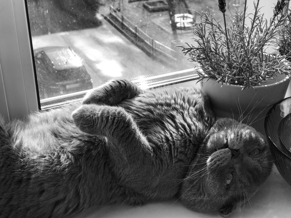 Photograph by Виктор Ремишевский