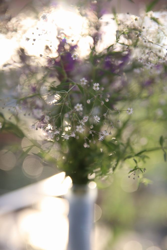 Фотография автора Наталья Боярина