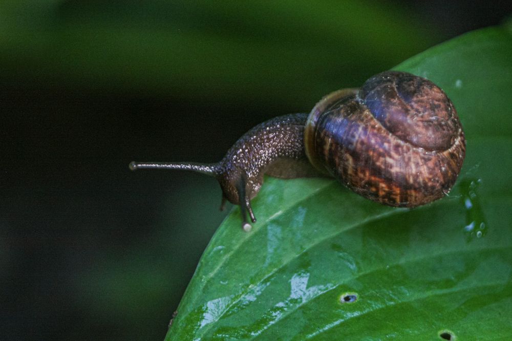 Photograph by Надежда