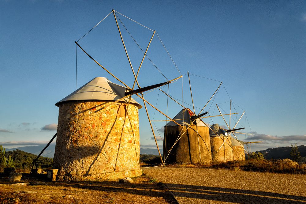 Photograph by Veaceslav Chisalita