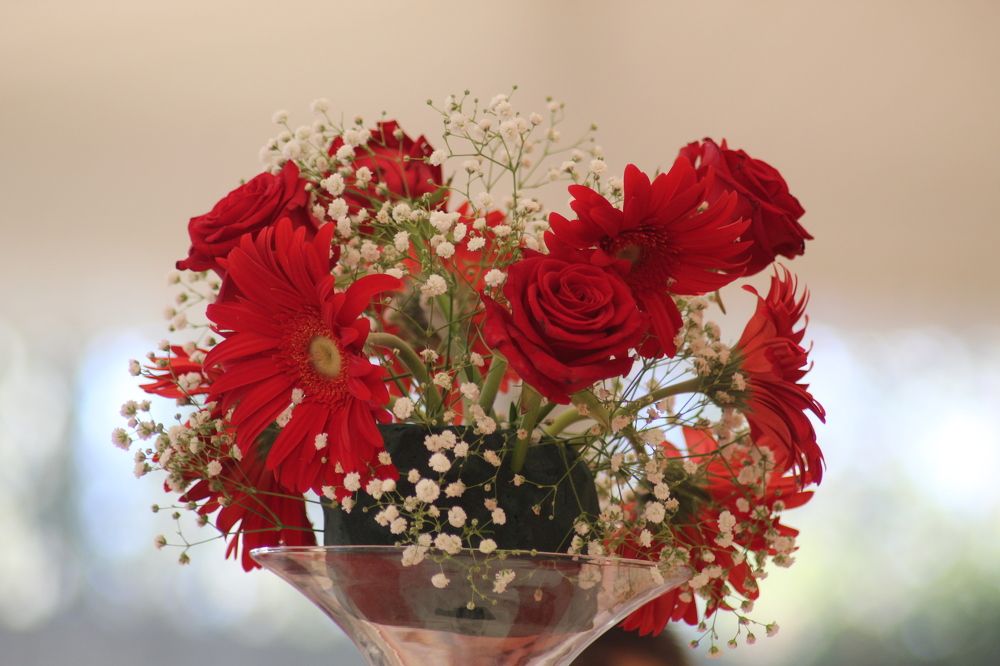 Photograph by Ferreira Francisco