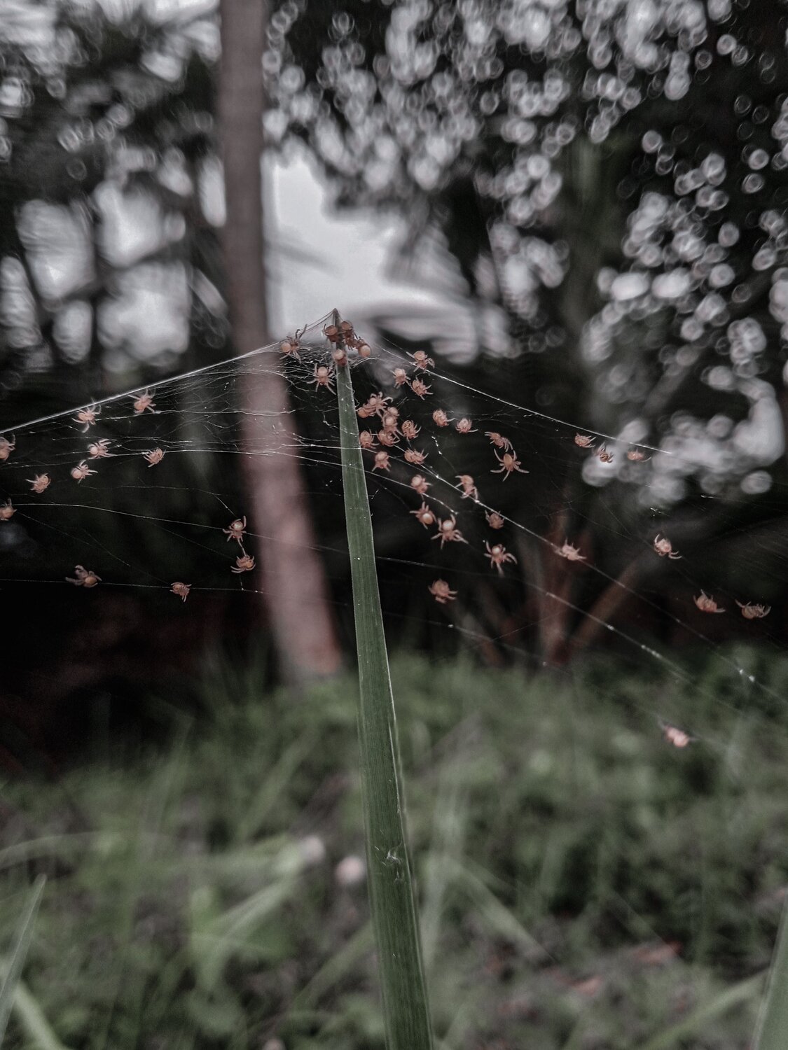 Photo #7857141