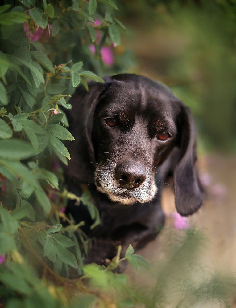 Photograph by Елена Мизюрина