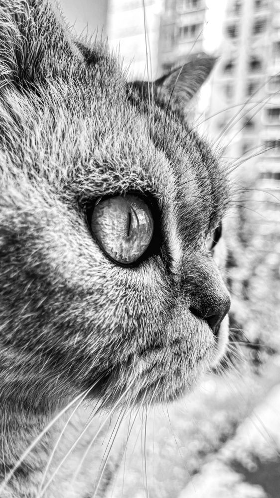 Photograph by Ольга Дорошенко