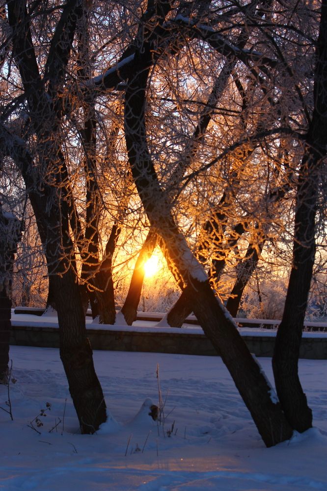 Photograph by Евгения