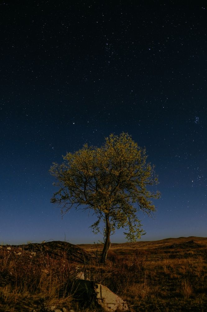 Photograph by Кристина Богомазова