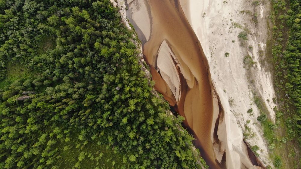 Фотография автора Елена Гасай