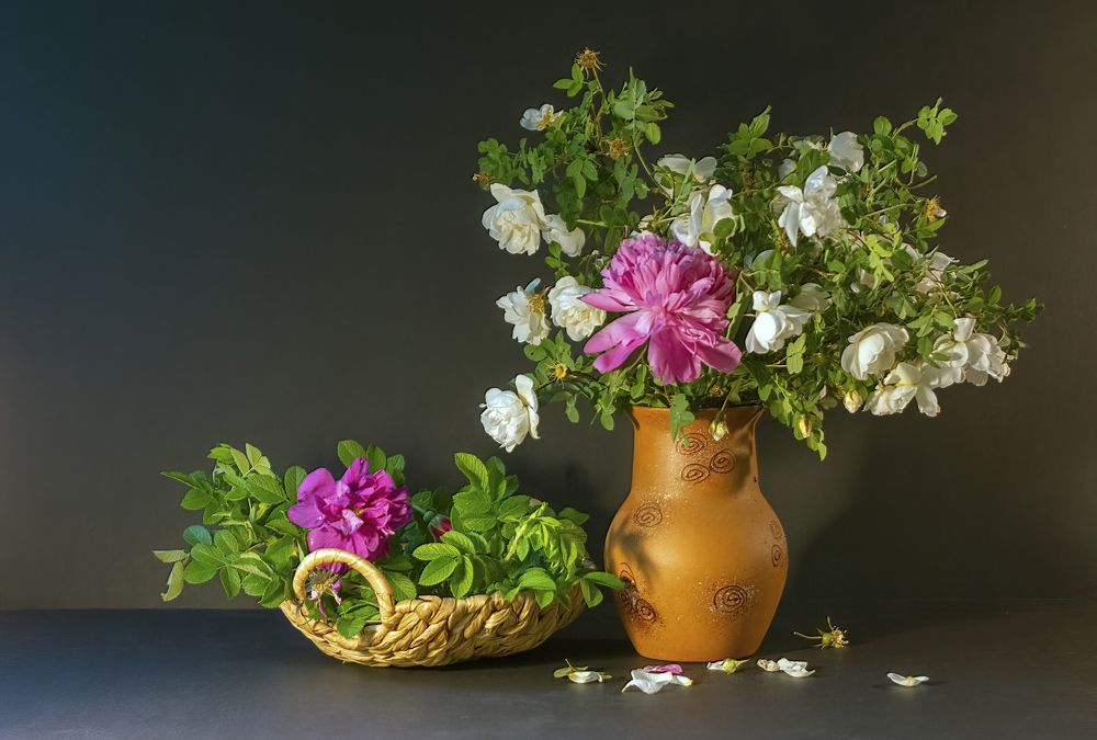 Photograph by Людмила Железнова