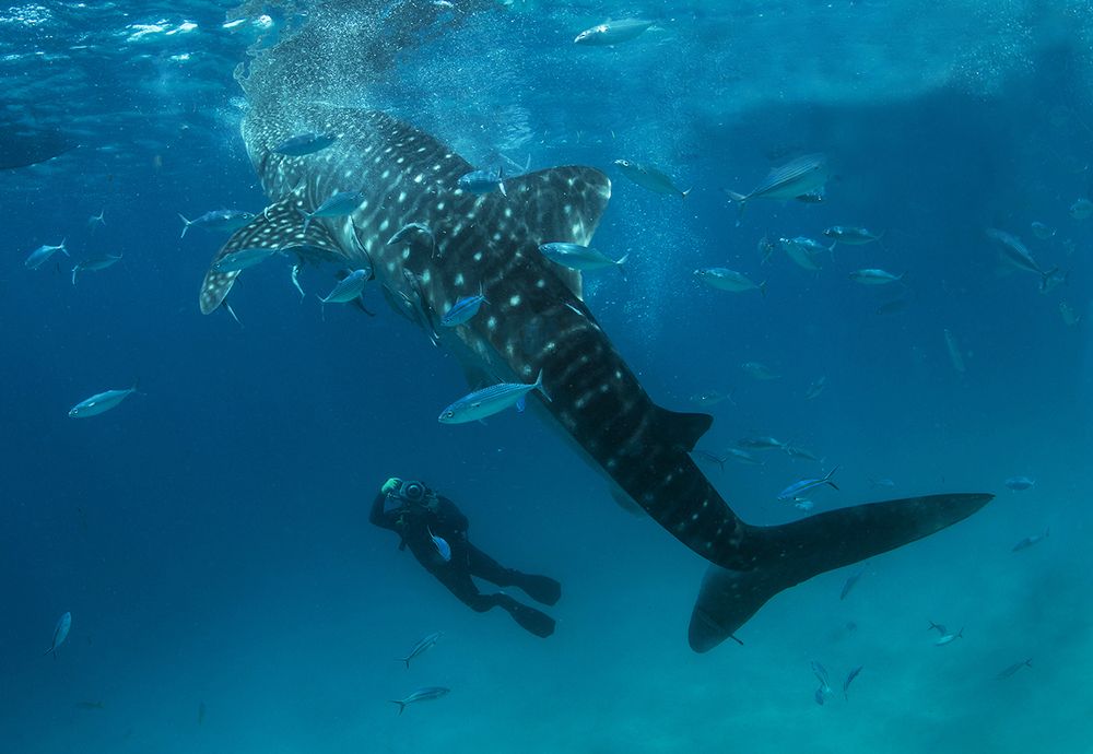 Photograph by Сергей Гаспарян