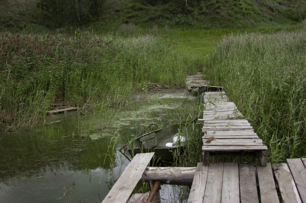 Photograph by Екатерина Кузьмичева