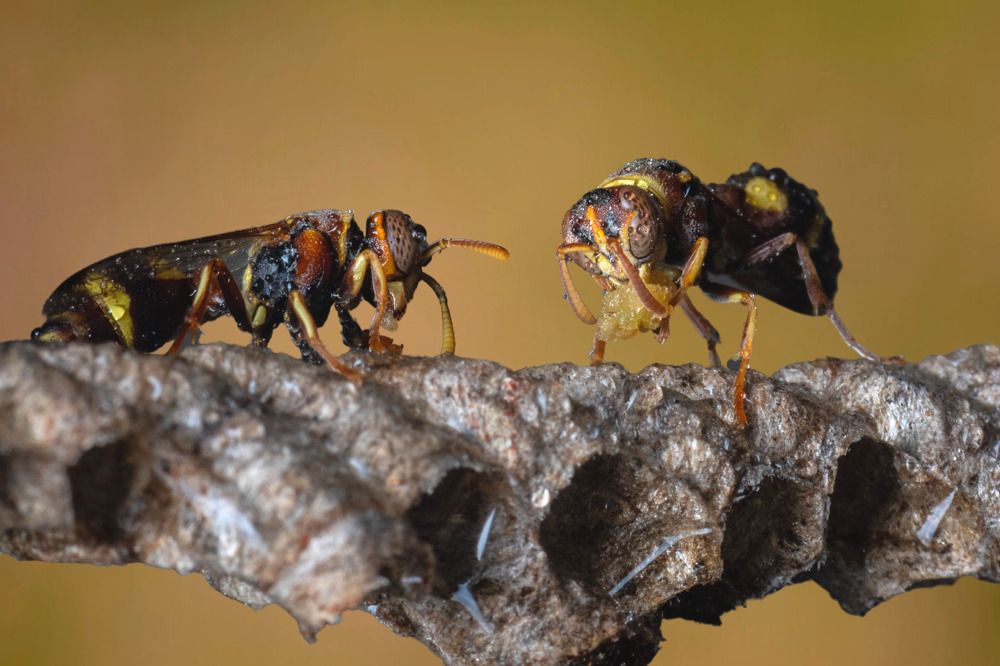 Photograph by Nicholas Ng