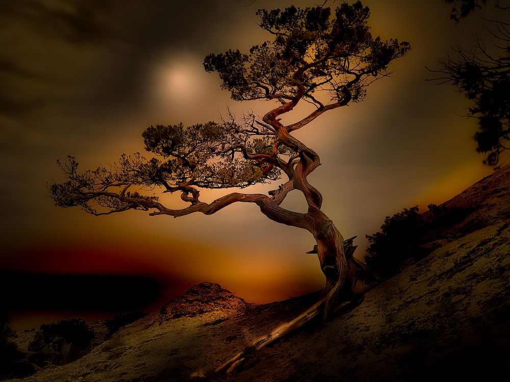 В лунном свете