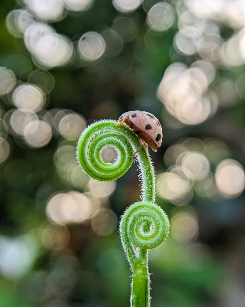 Photograph by Ajeesh A