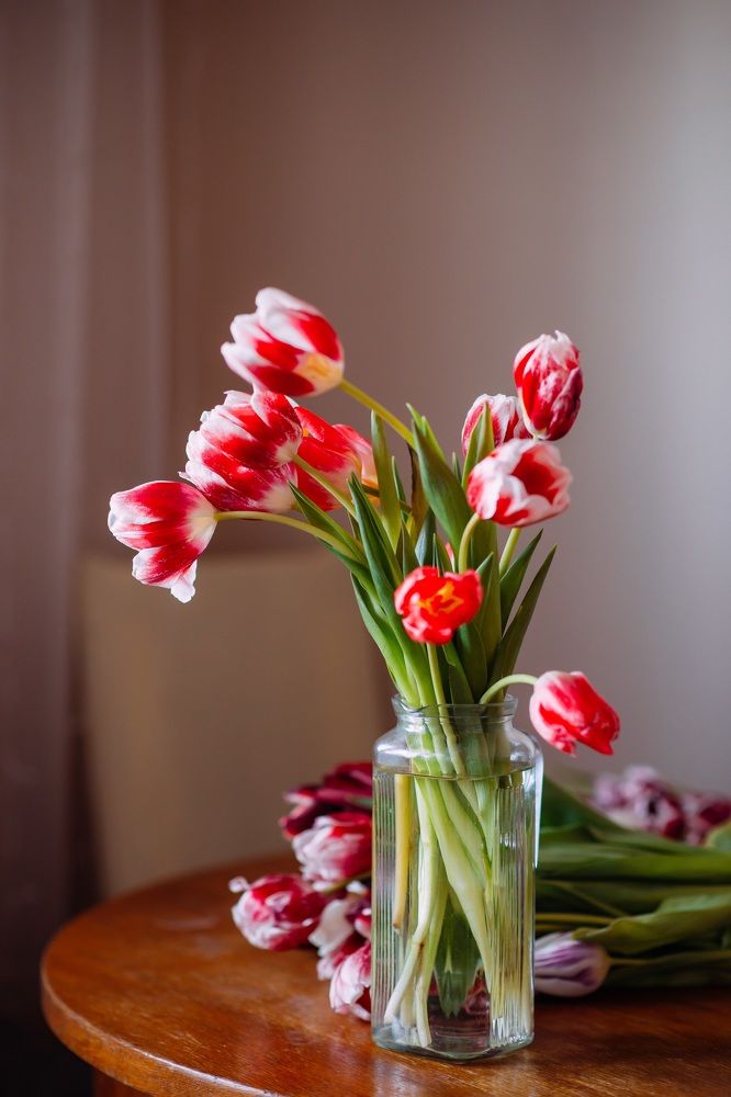 Photograph by Анна Смирнова