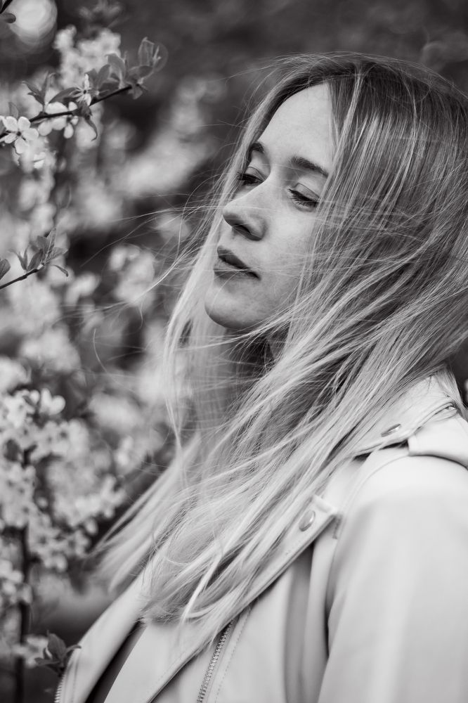 Цветение яблони