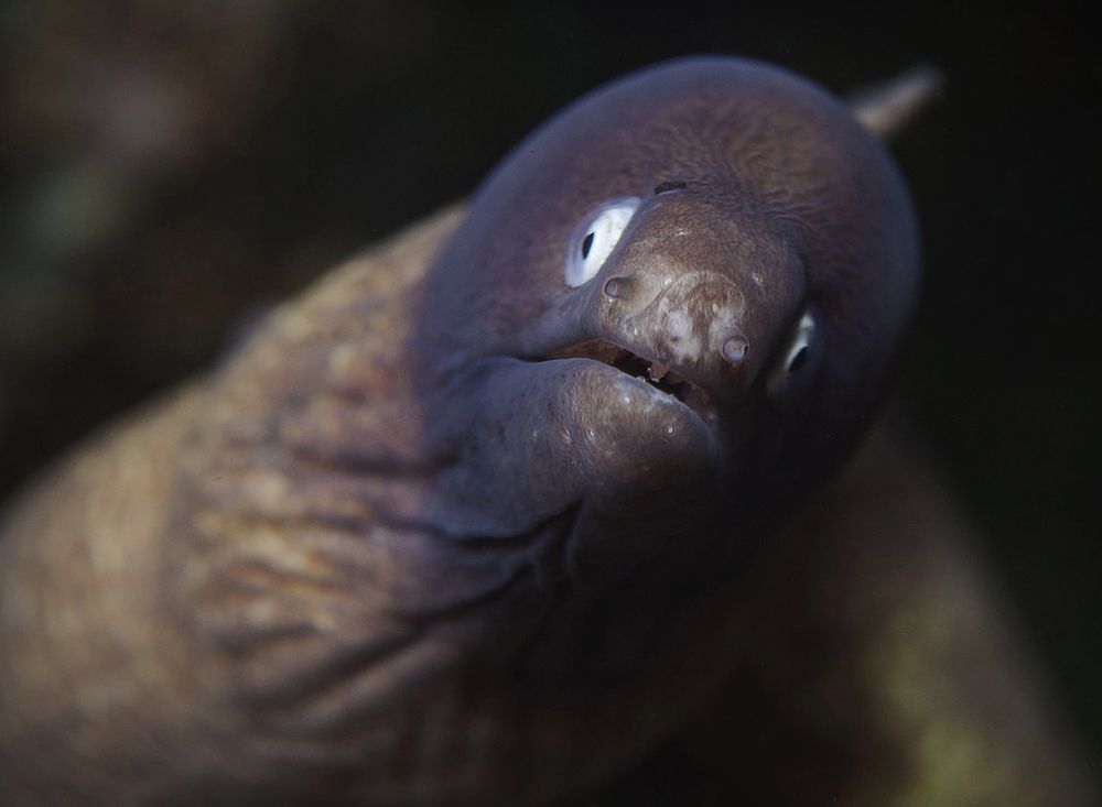 Photograph by Сергей Гаспарян