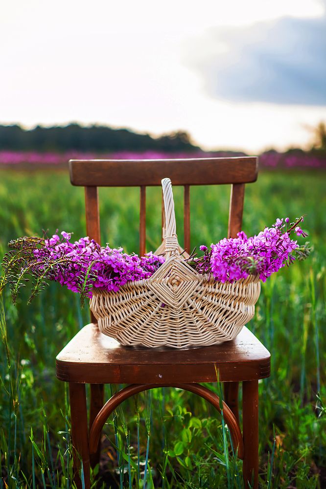 Photograph by Руслан Бикбаев