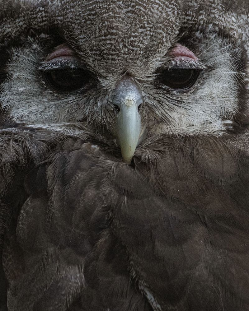 Photograph by Markéta Mastešová