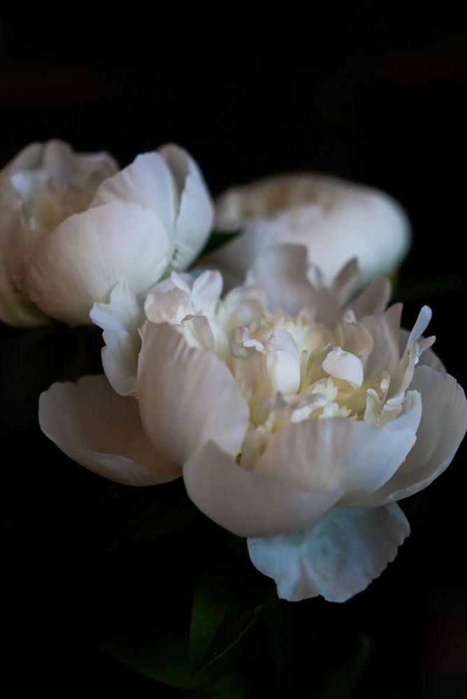 Photograph by Анна Изюмская