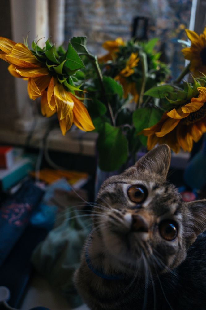 Photograph by Анна Изюмская