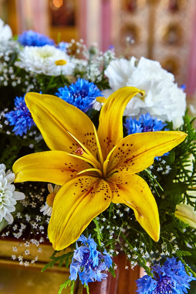 В красоте желтого