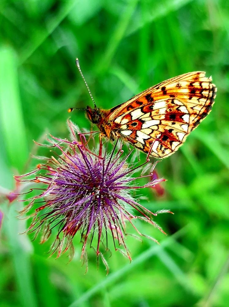 Photograph by Фролова Светлана