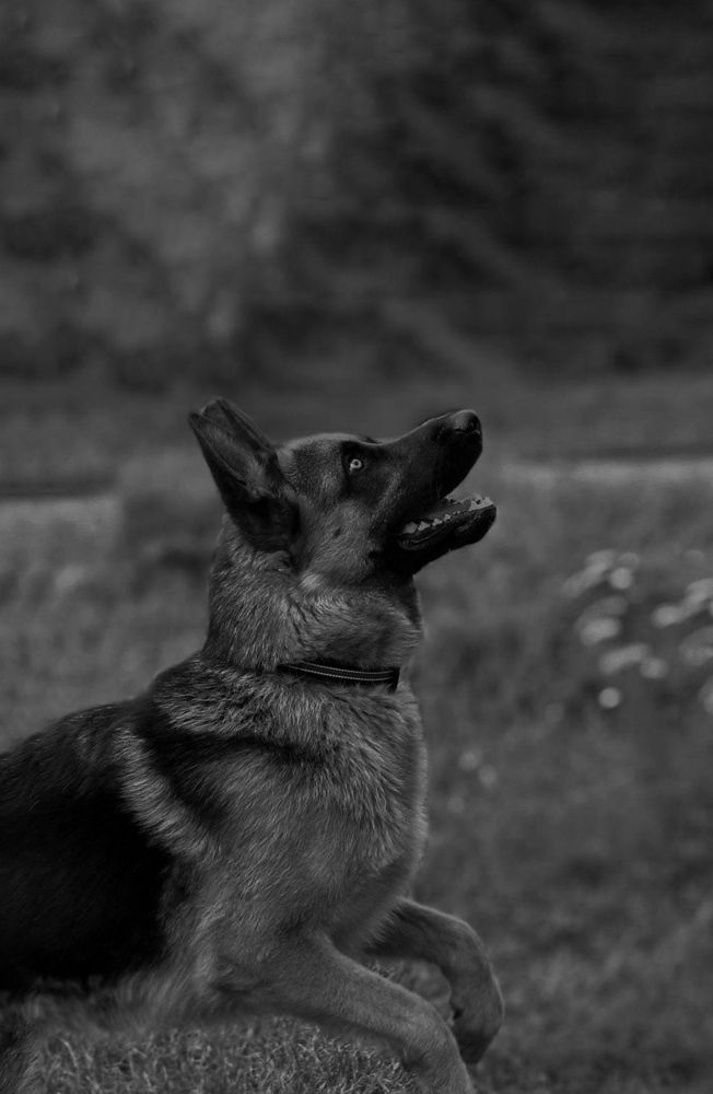 Photograph by Алиса Комарова