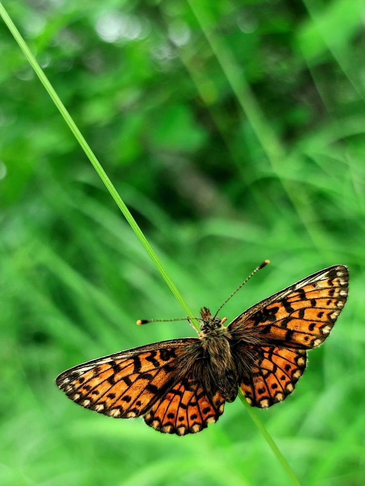 Photograph by Фролова Светлана
