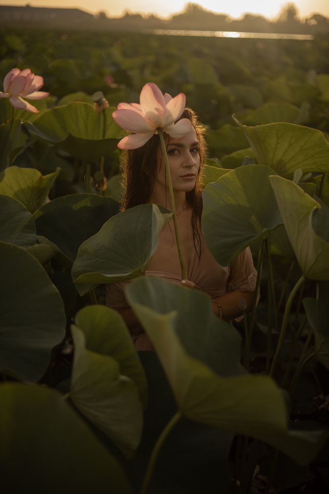 Фотография автора Тамара Чибисова