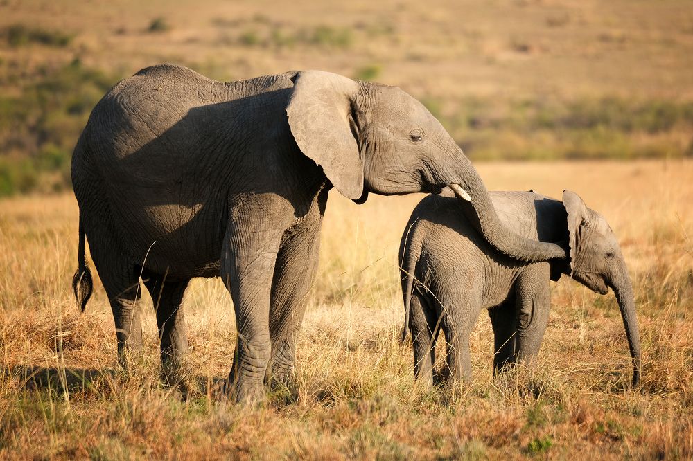 Photograph by Ирина Худзинская