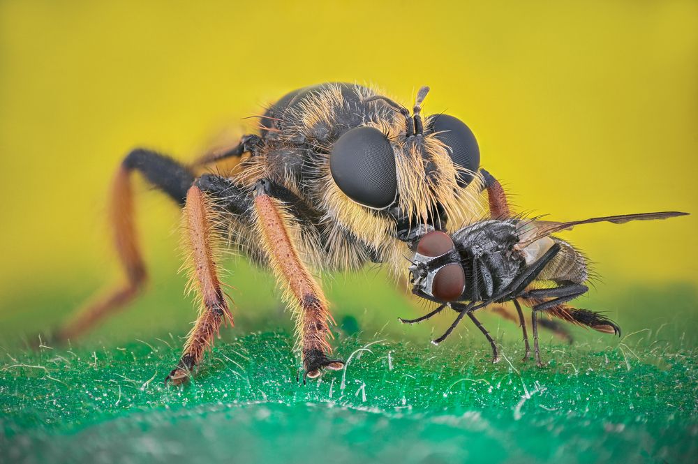 Photograph by Tsvetan Ganev