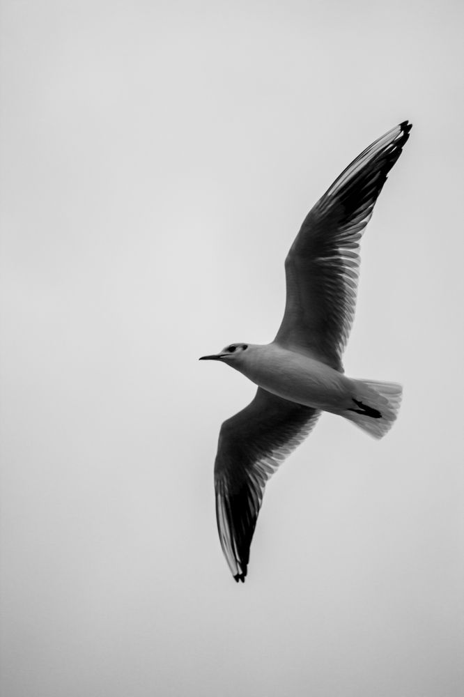 Photograph by Ksenya Loboda