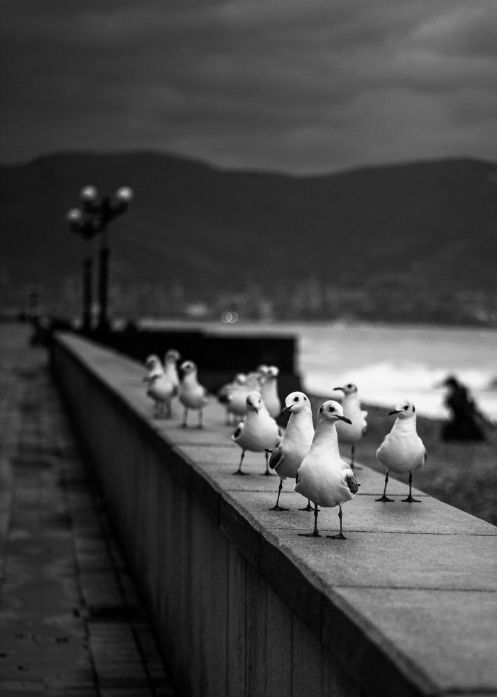 Photograph by Ksenya Loboda