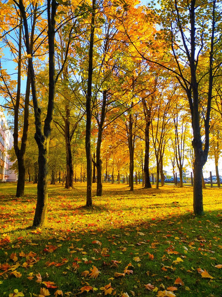 Photograph by Ирина Половцева