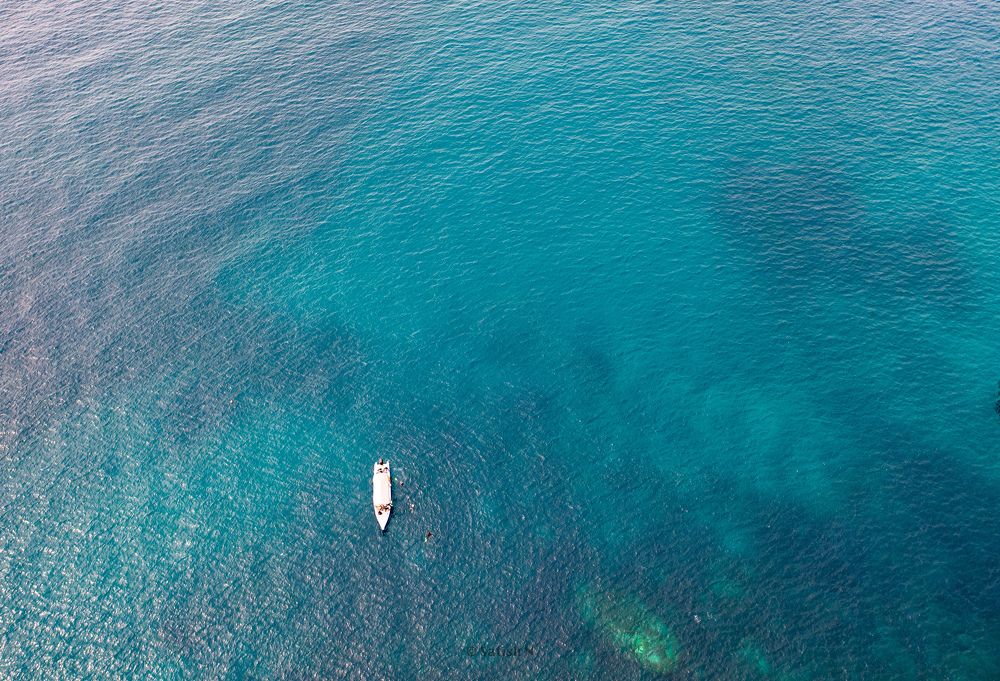 Photograph by Satish N