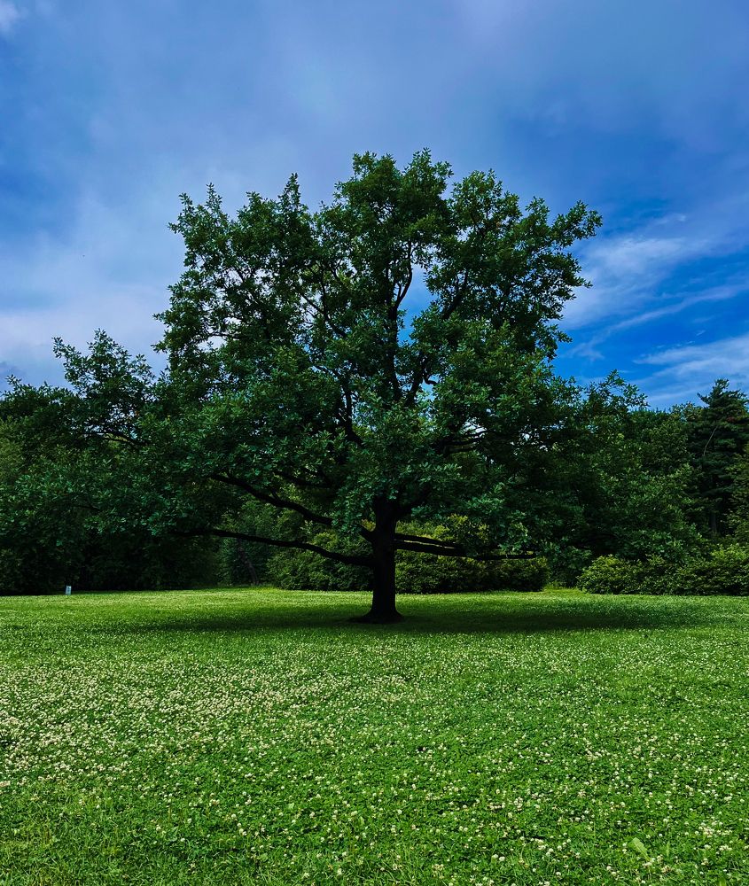Photograph by Наталья Петриленкова