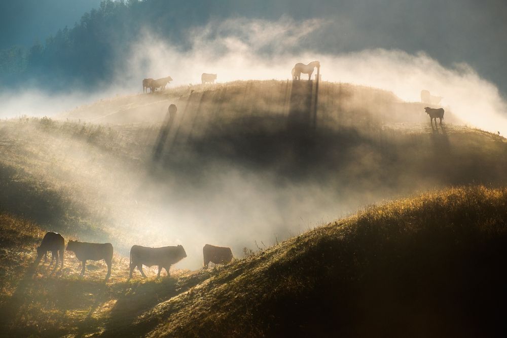 Photograph by Popescu Cezar Gabriel