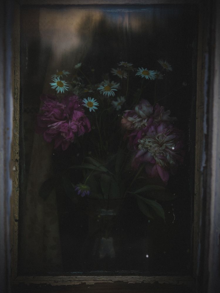 Photograph by Кристина Дедкова