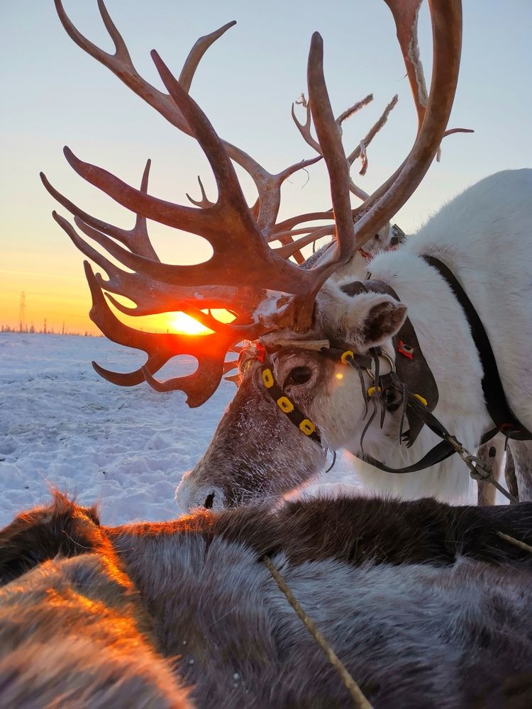 Photograph by Нияз