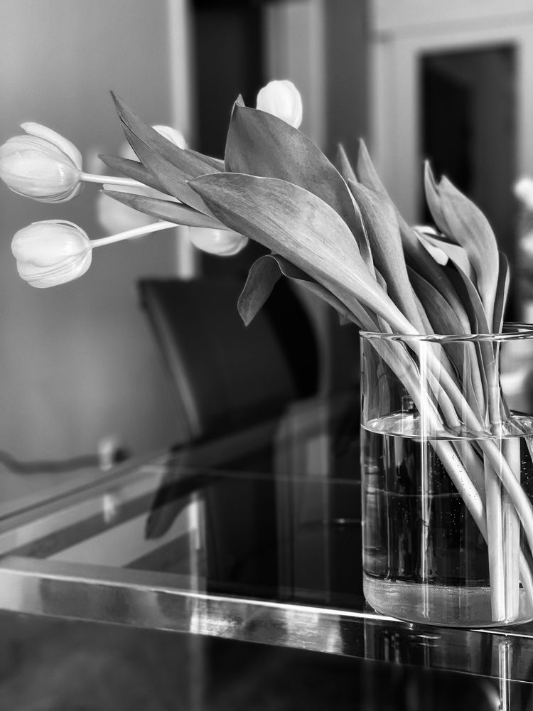 Photograph by Ольга Зорькина