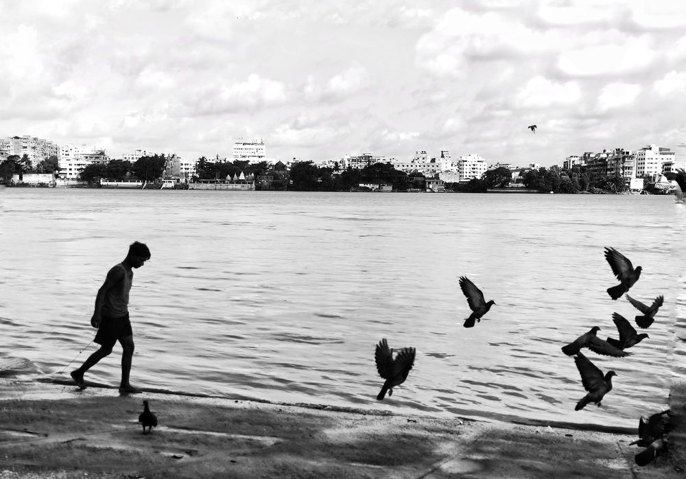 Photo #7858713