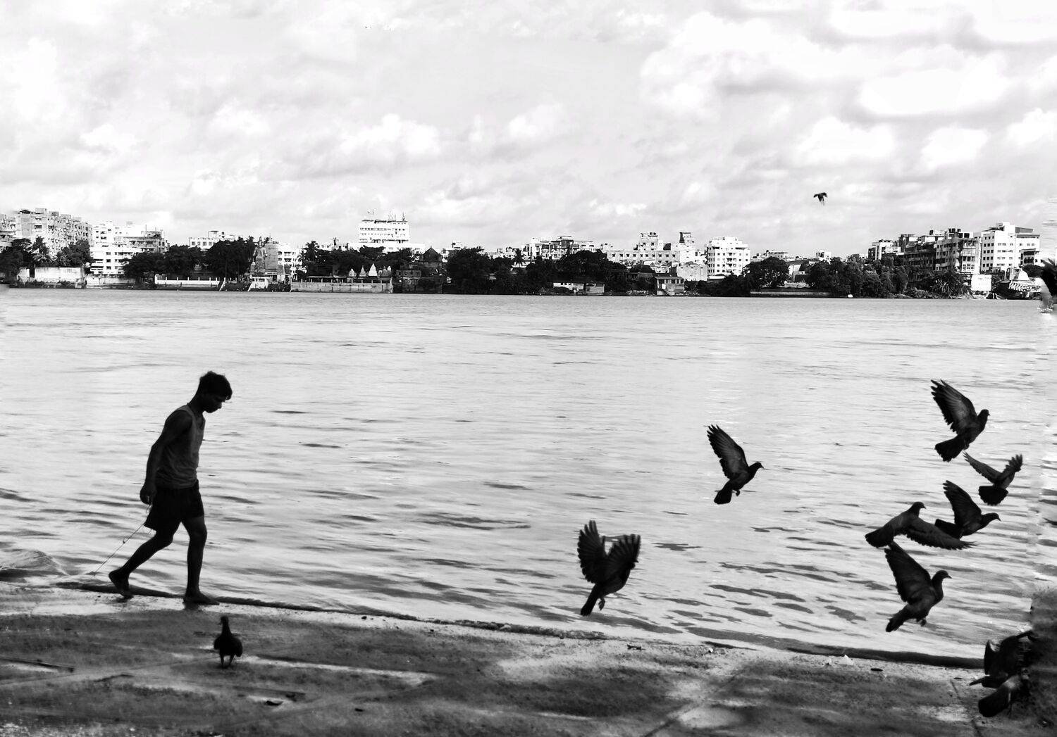 Photo #7858713